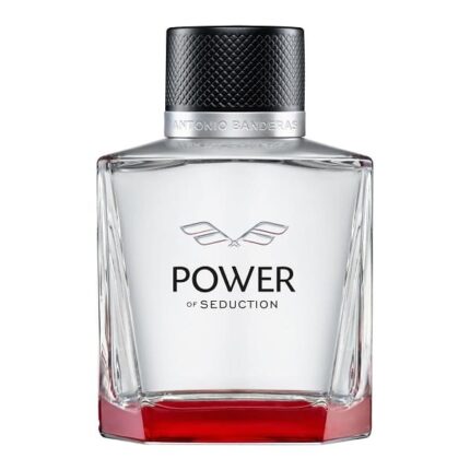 Power of Seduction Antonio Banderas