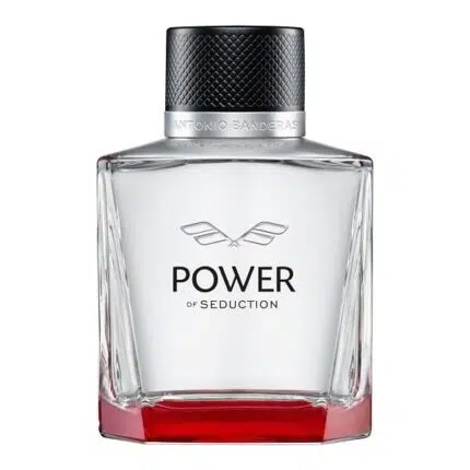 Power of Seduction Antonio Banderas