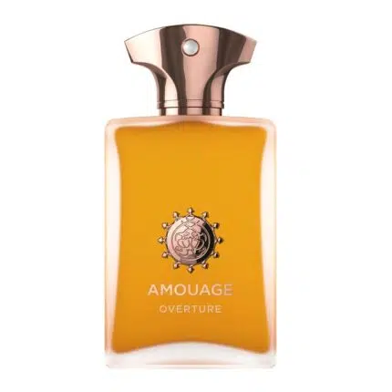 Amouage Overture Man